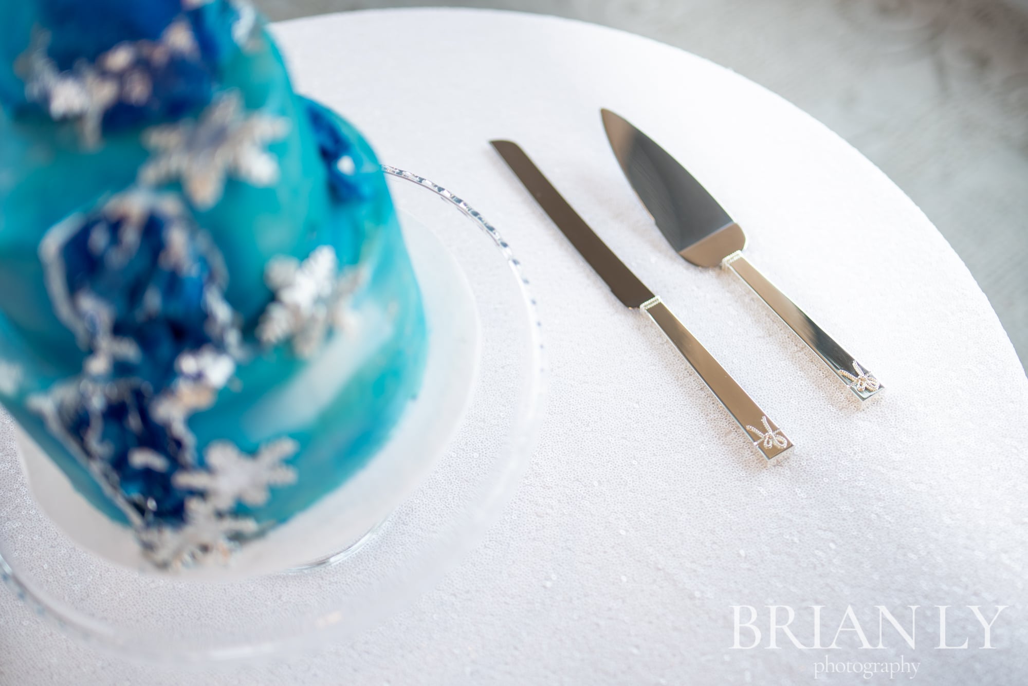 cake winter wedding styled shoot deer creek banquet facility