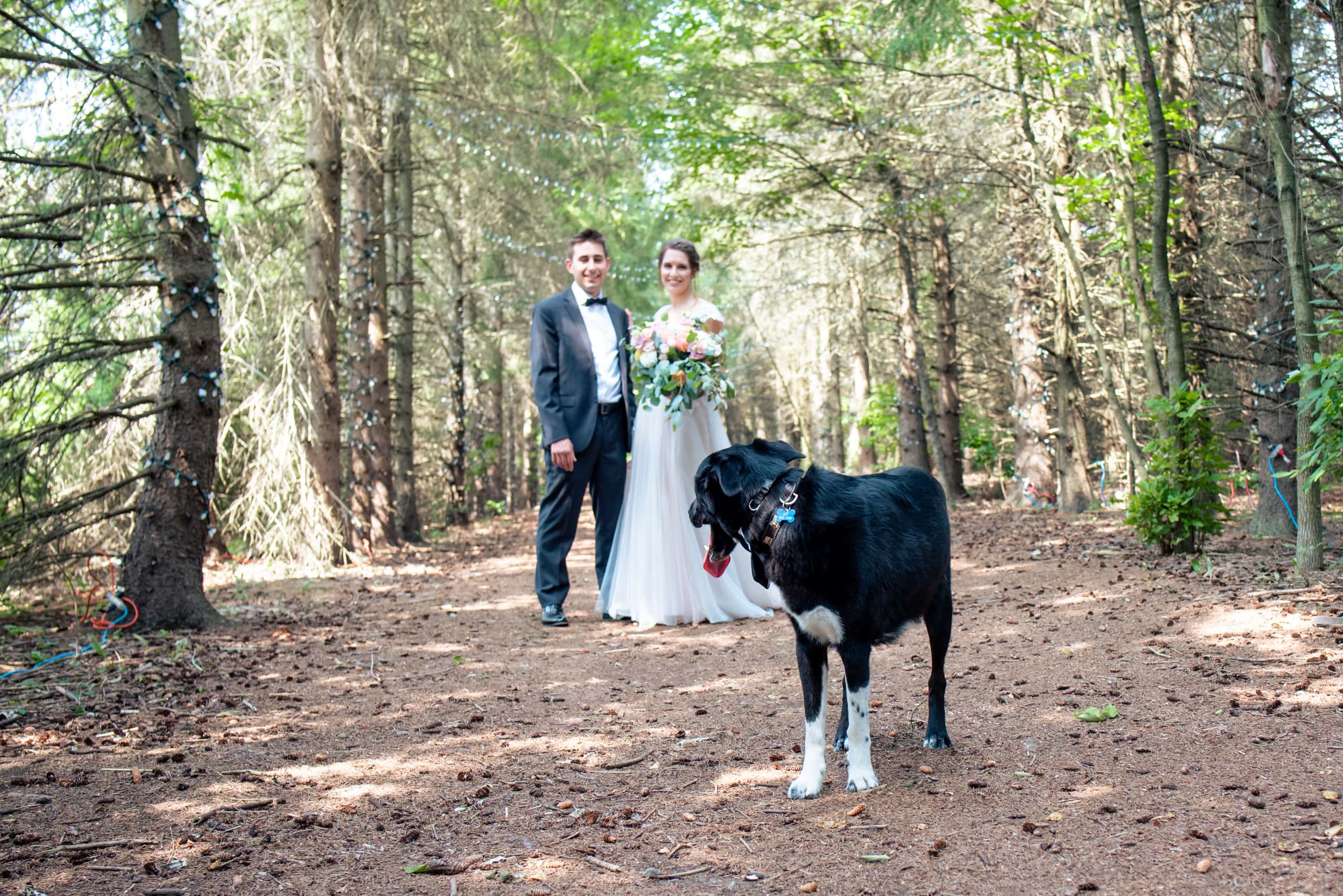 dog kortright centre wedding by Durham Region Wedding Photographer Brian Ly Photography