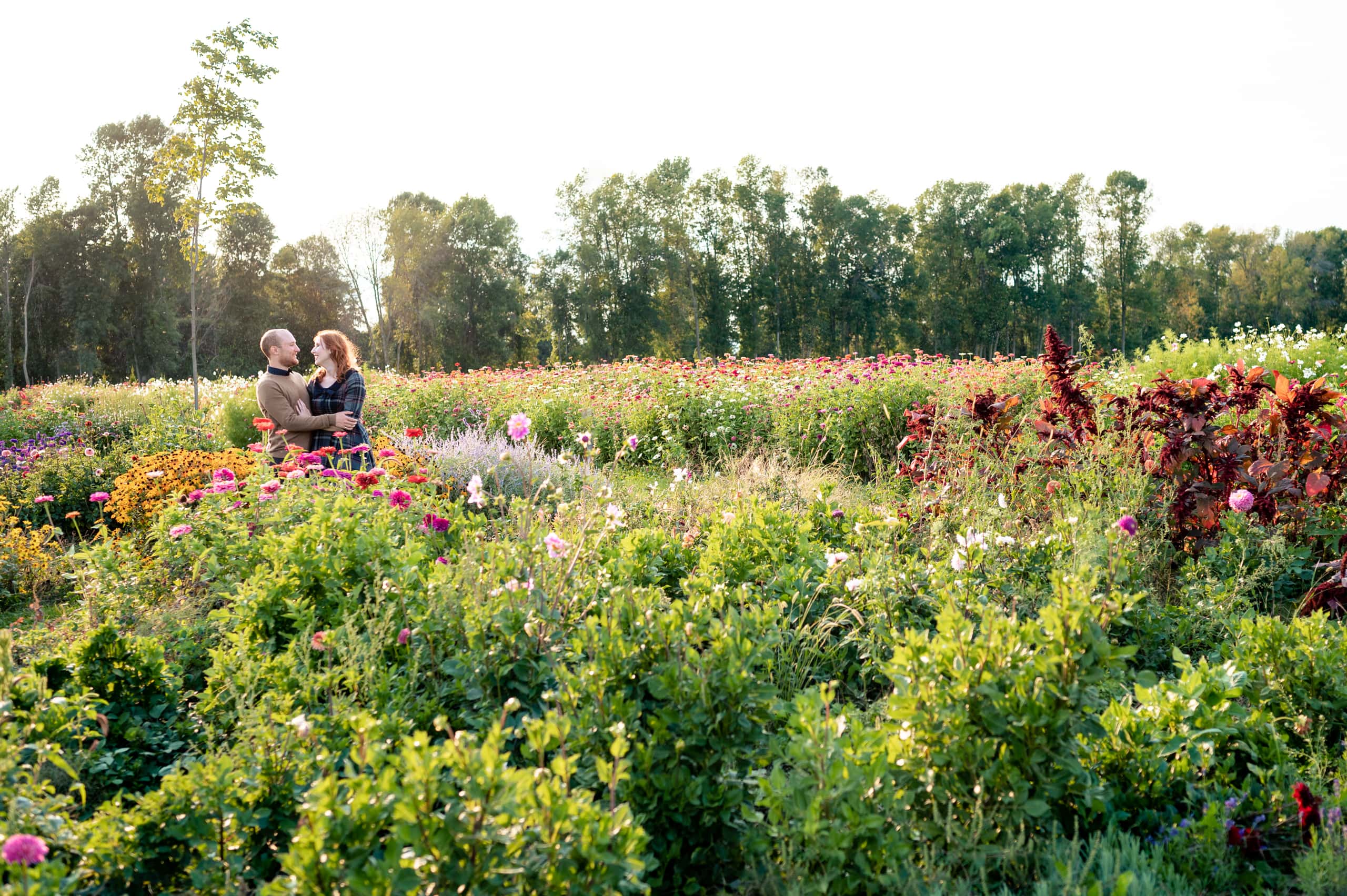 white's creek flower farm engagement photos by Durham Region Wedding Photographer Brian Ly Photography